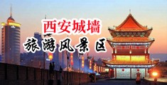 欧美美女插骚穴中国陕西-西安城墙旅游风景区